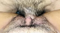 Abspielen Mit Sperma gefüllte enge Muschi: Nahaufnahme Hündin-Aktion